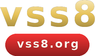vss8 logo
